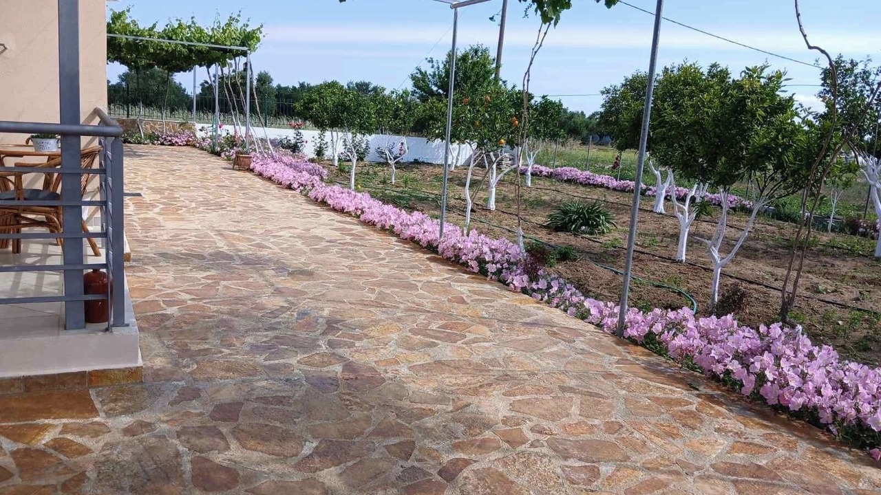 Photo of Outdoor in Pineios