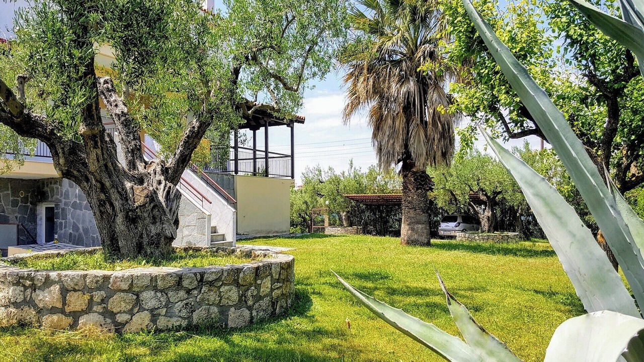 Photo of Others in Afytos