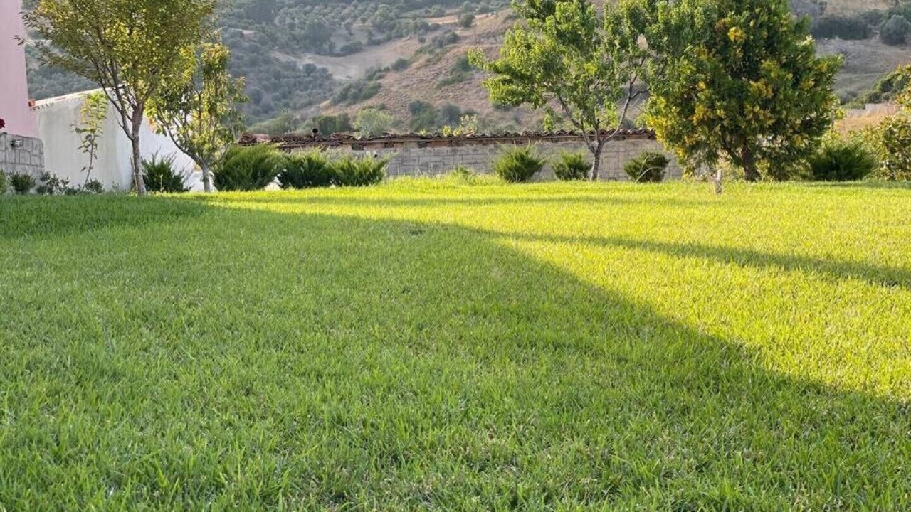Photo of Outdoor in Kymi-Aliveri