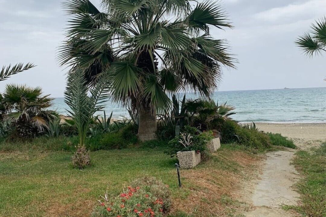 Photo of Others in Pyla