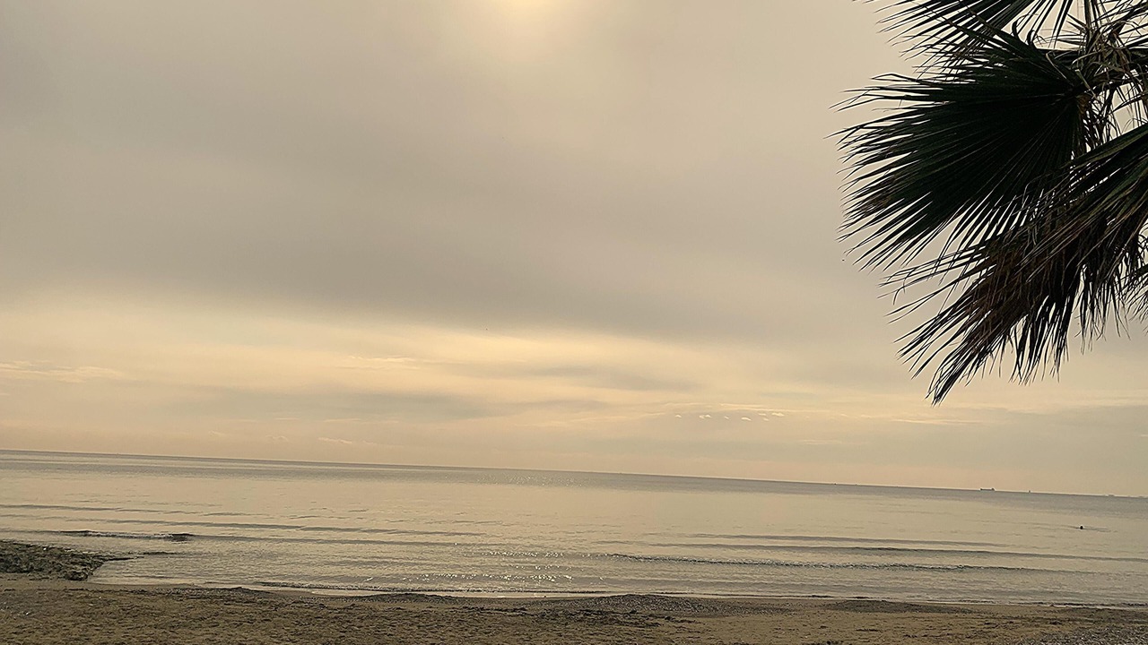 Photo of Others in Pyla