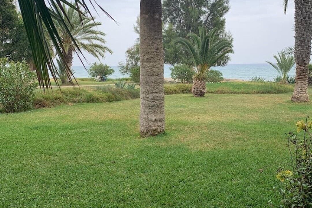 Photo of Outdoor in Pyla