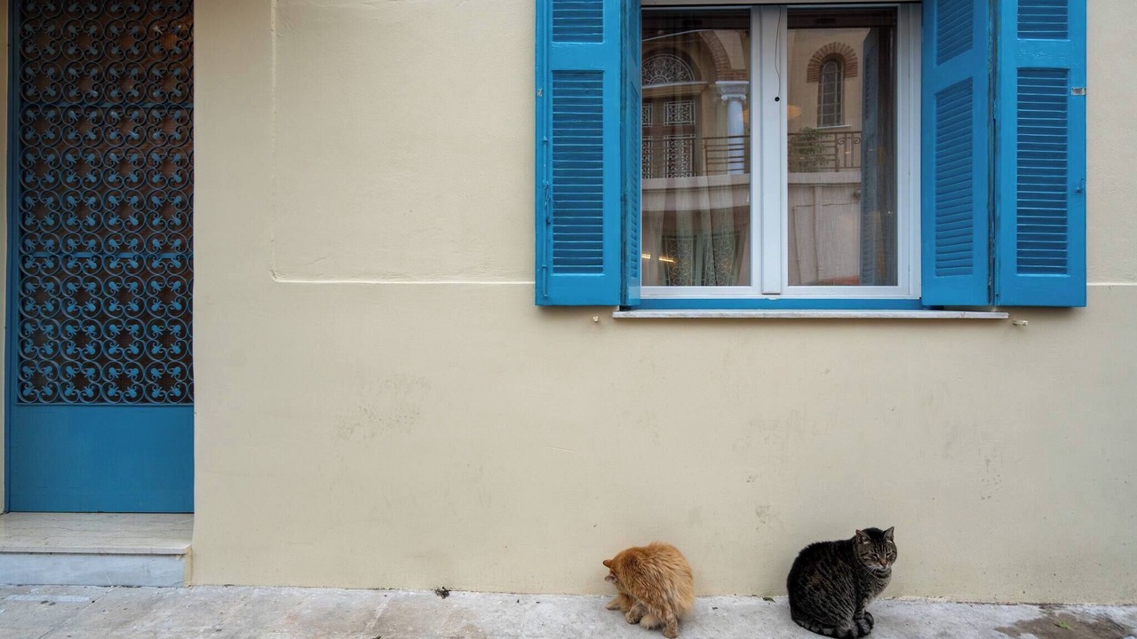 Photo of Outdoor in Filopappou
