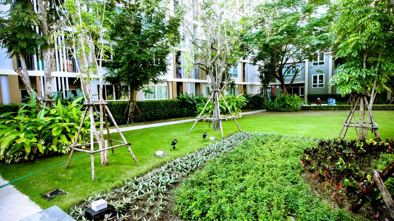 Photo of Outdoor in Chiang Mai