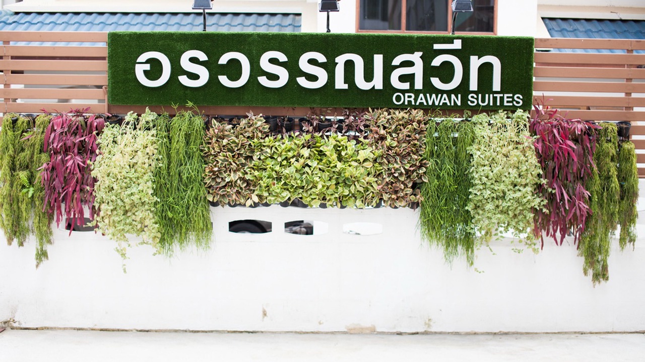 Photo of Outdoor in San Sai