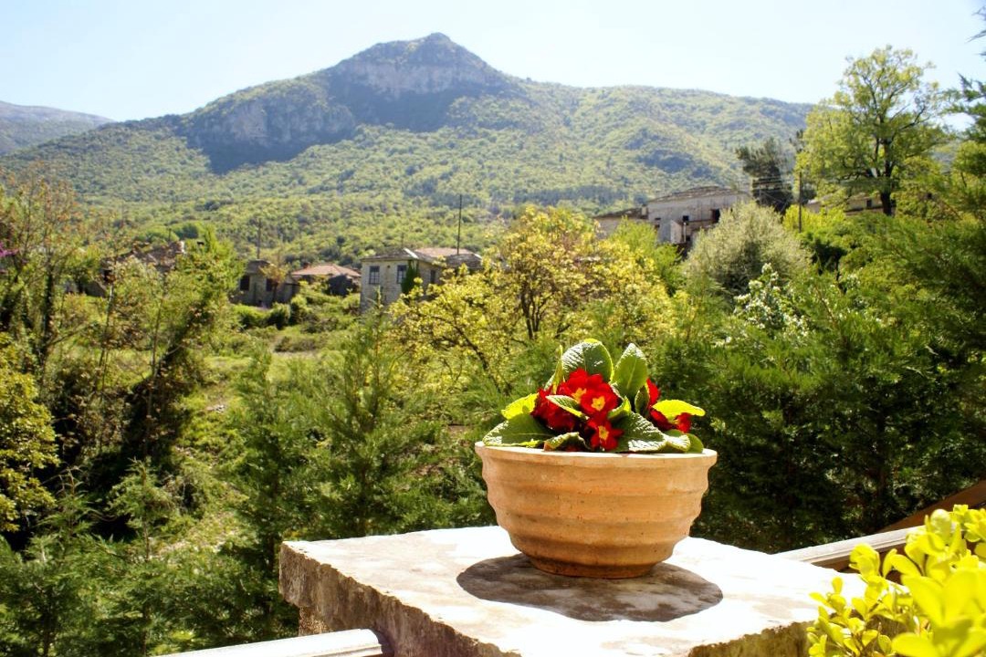 Photo of Others in Aristi
