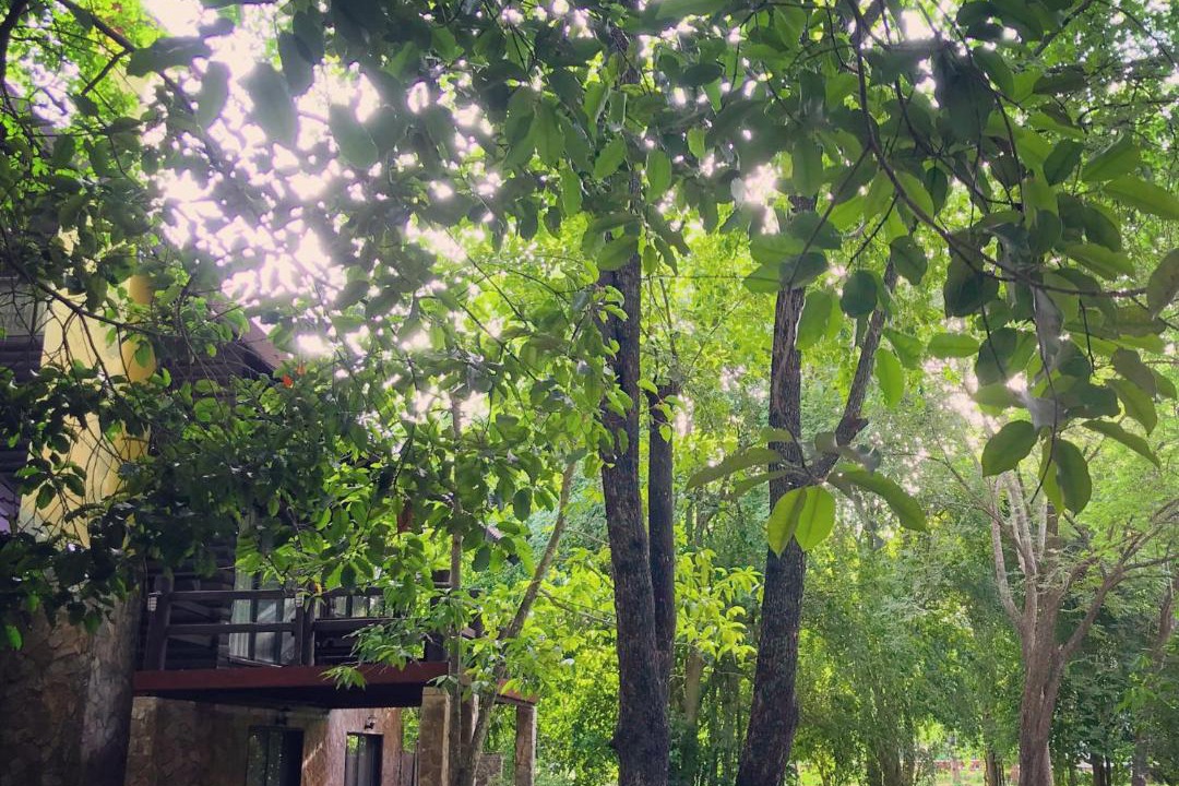 Photo of Others in Kanchanaburi