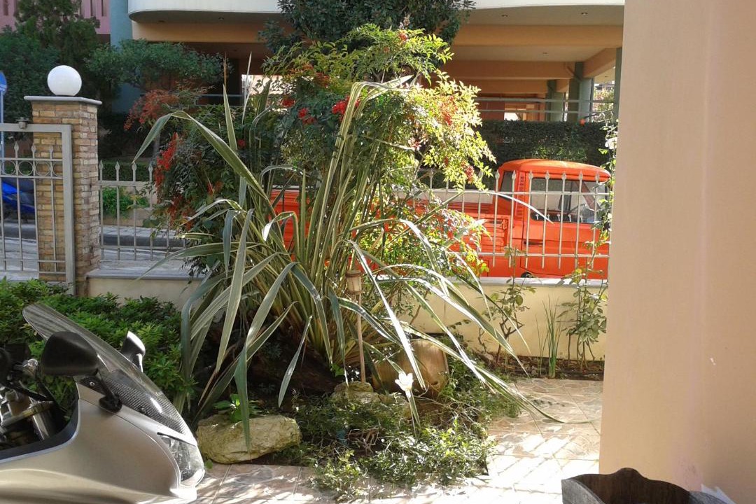 Photo of Others in Zavlani