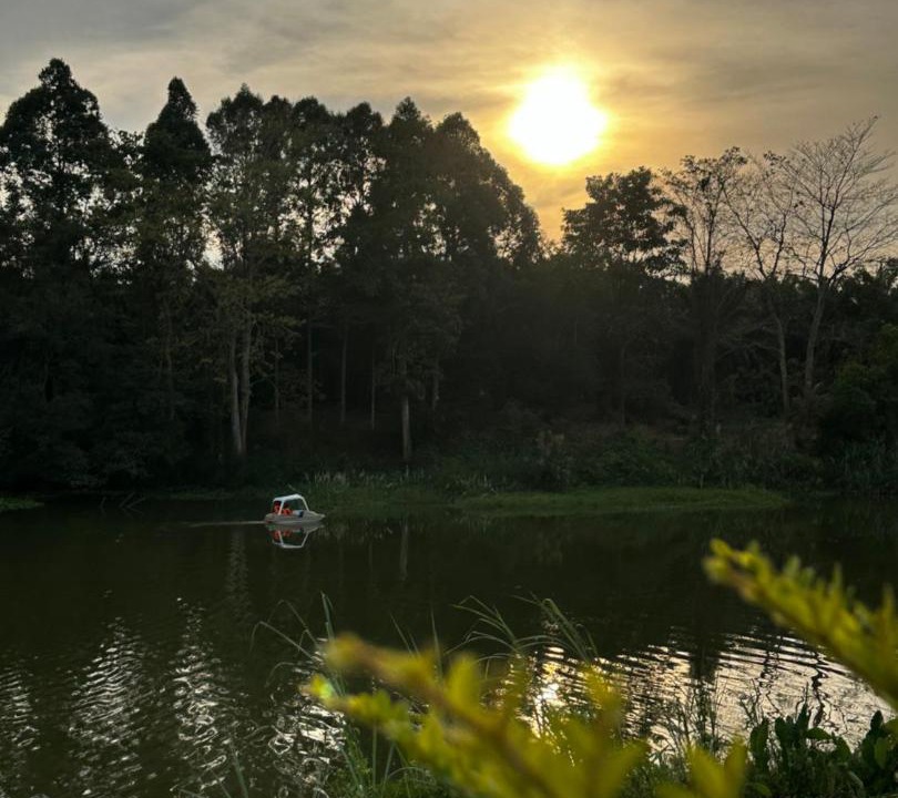 Photo of Others in Nong Ya Plong