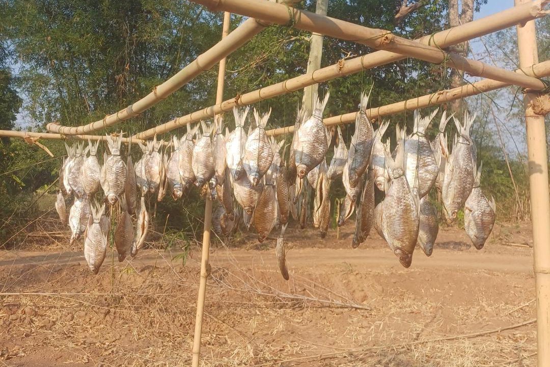 Photo of Others in Khong Chiam