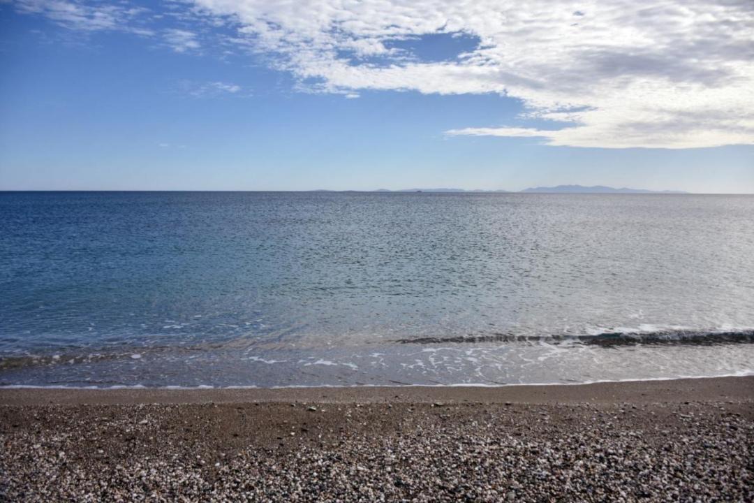 Photo of Others in Mourteri