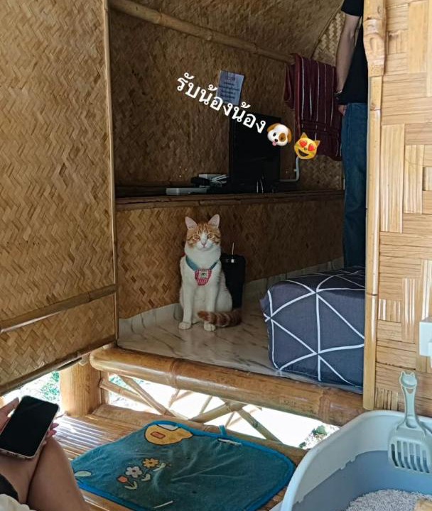 Photo of Others in Saen Suk