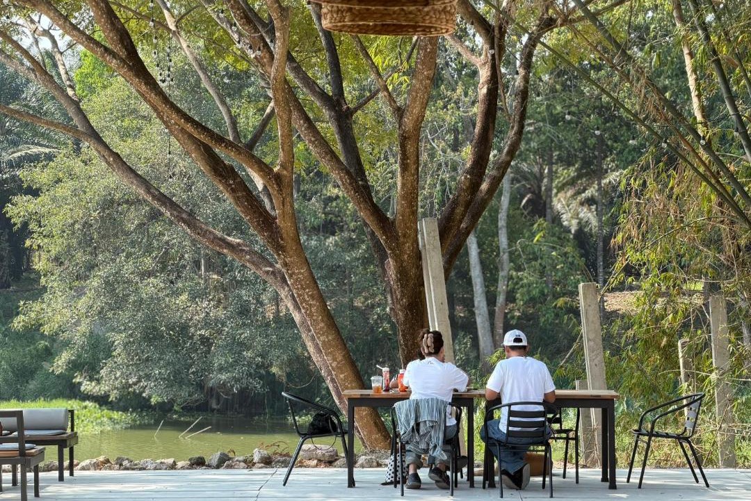 Photo of Others in Nong Ya Plong