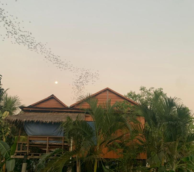 Photo of Others in Banan