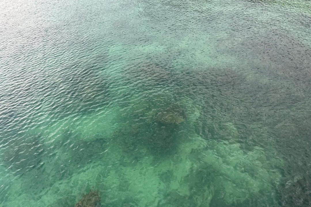 Photo of Others in Koh Rong
