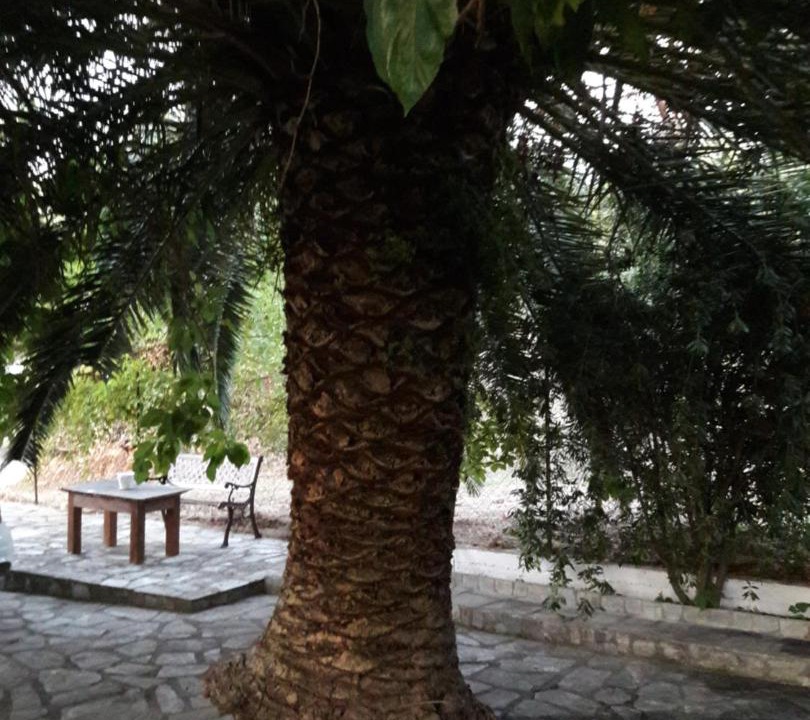 Photo of Others in Kato Vrontou