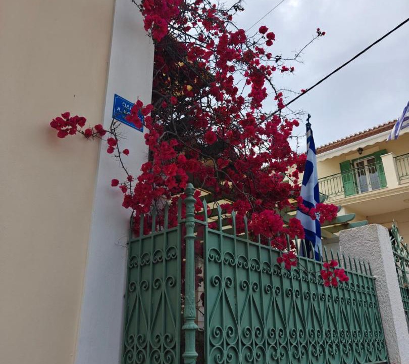 Photo of Others in Poros