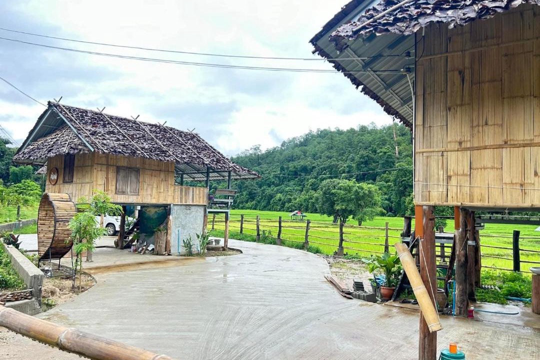 Photo of Others in Laplae