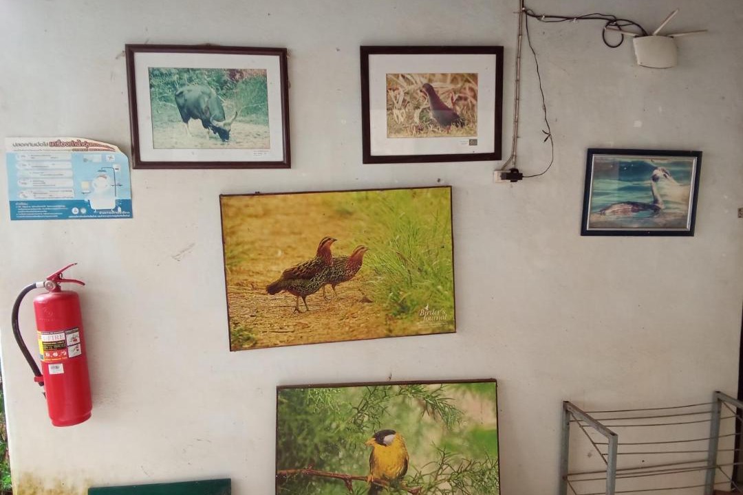 Photo of Others in Chom Thong