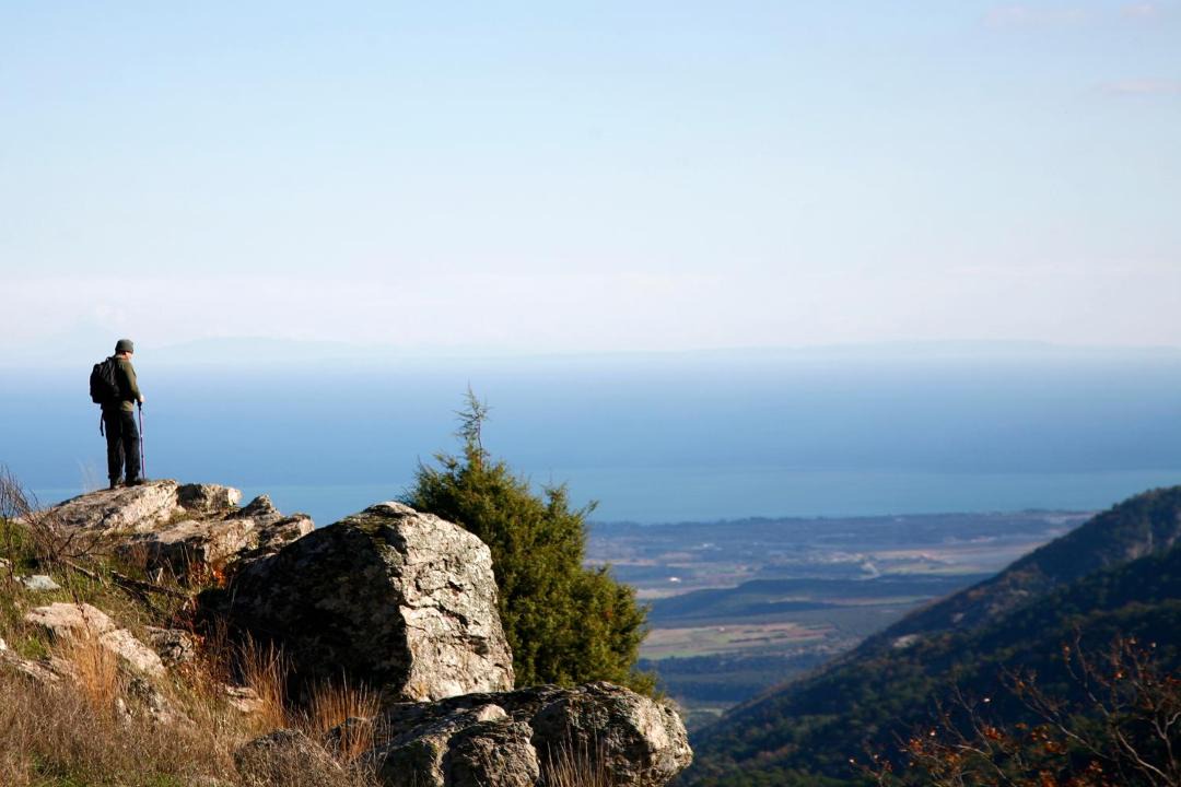 Photo of Others in Litochoro