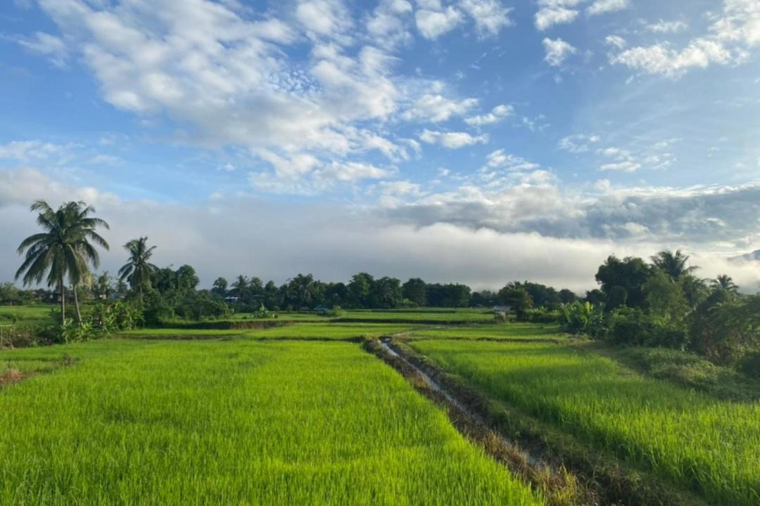 Photo of Others in Pua