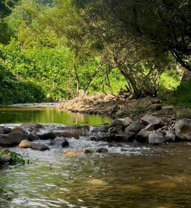 Photo of Others in Khao Yai National Park