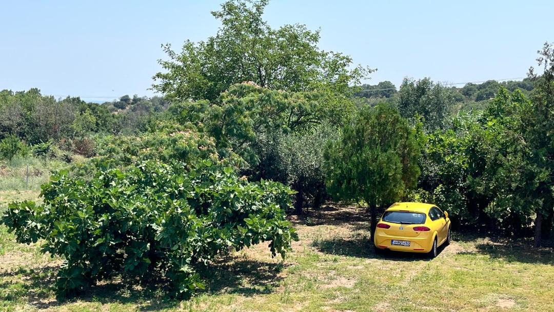Photo of Outdoor in Avdira