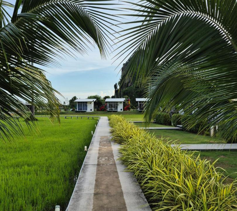 Photo of Others in Noen Maprang