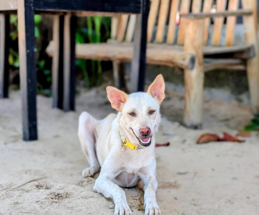 Photo of Others in Koh Rong Sanloem