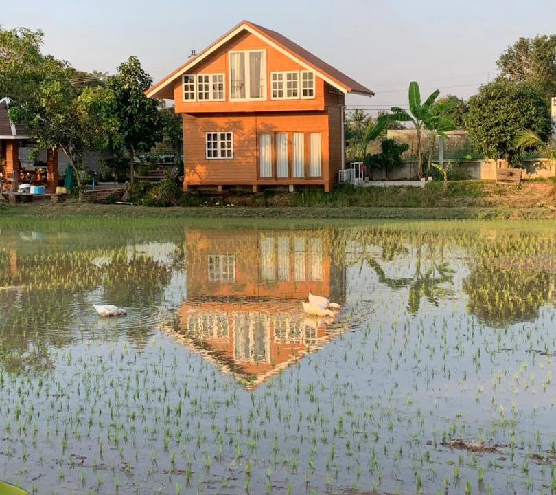 Photo of Others in Phitsanulok