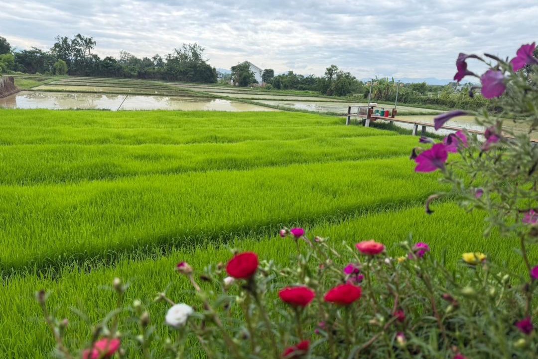 Photo of Others in San Pu Loei