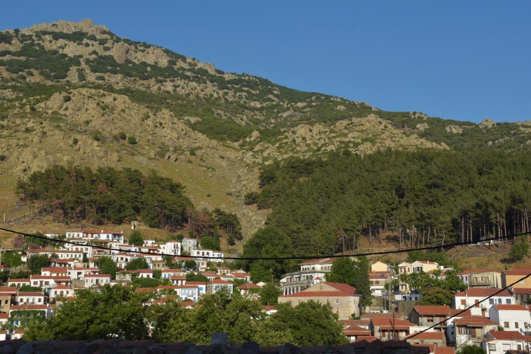 Photo of Others in Samothrace