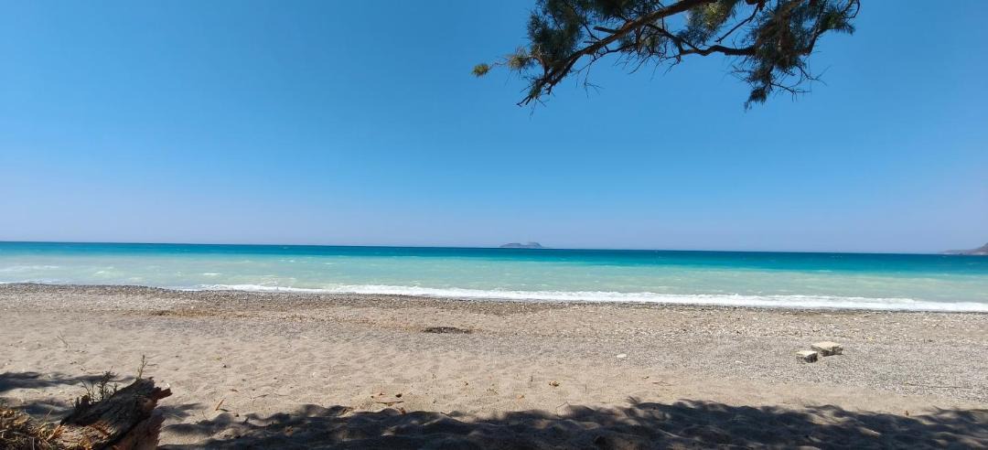 Photo of Others in Tymbaki