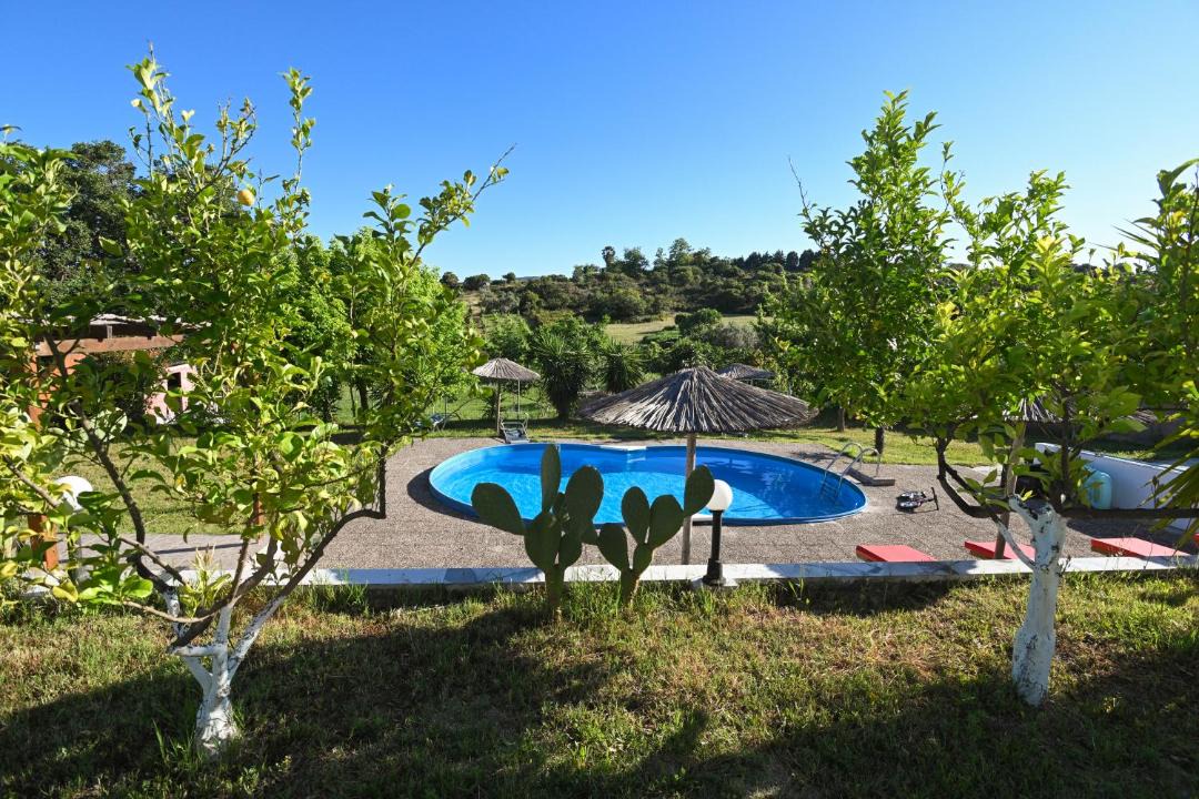 Photo of Others in Aristotelis