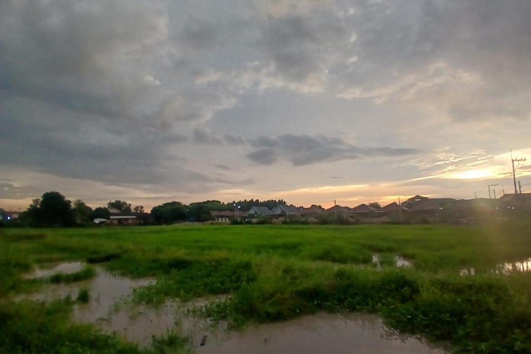 Photo of Others in Nong Chaeng