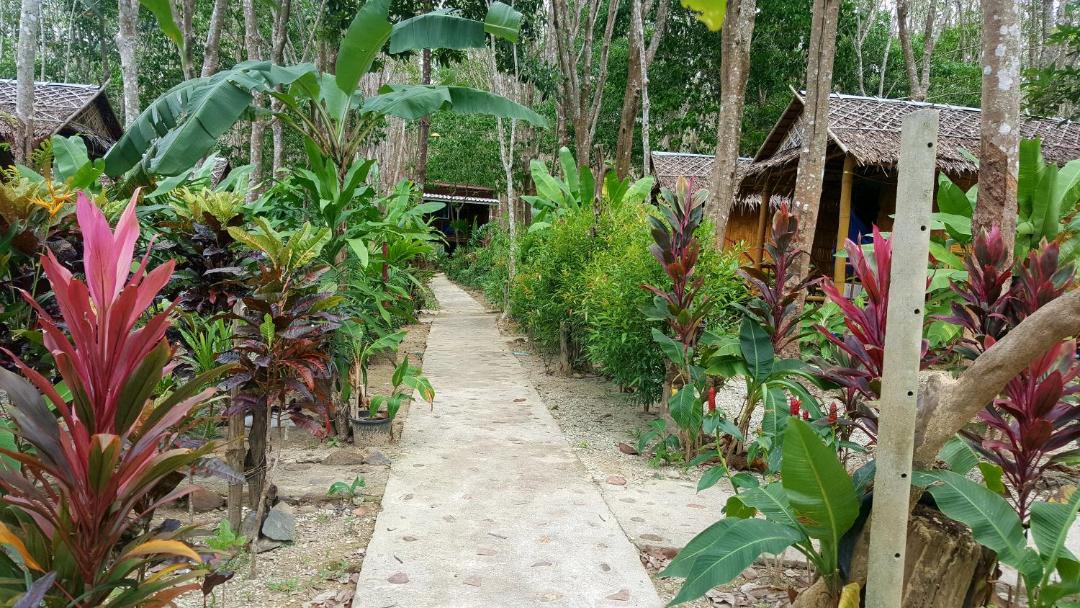Photo of Others in Ko Lanta