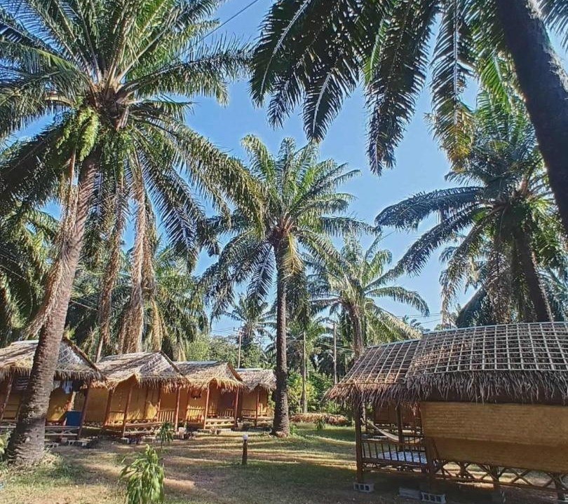 Photo of Others in Ko Lanta