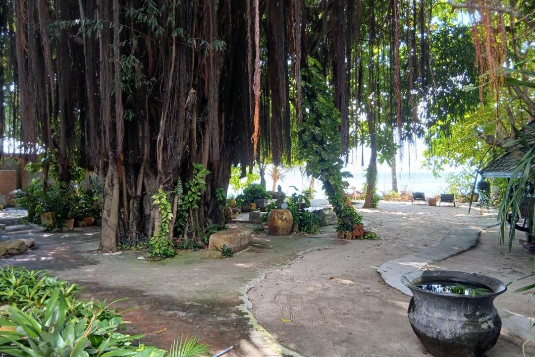 Photo of Others in Baan Tai