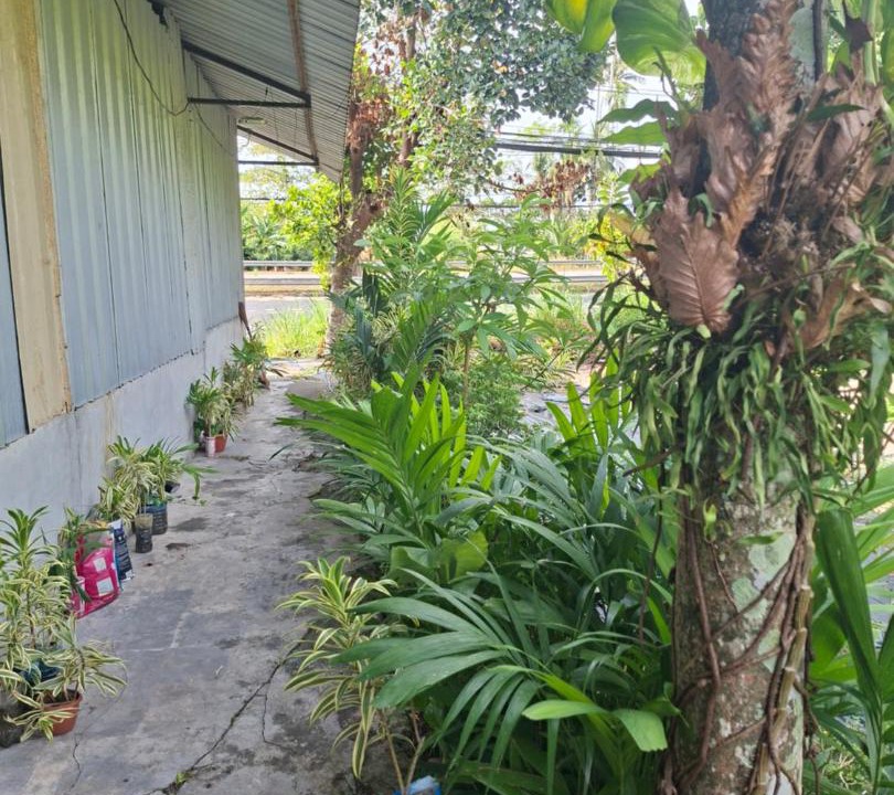 Photo of Others in Mai Khao