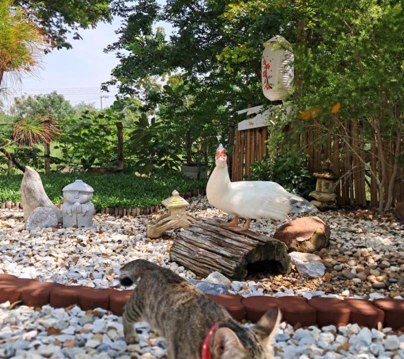 Photo of Others in Nong Sarai
