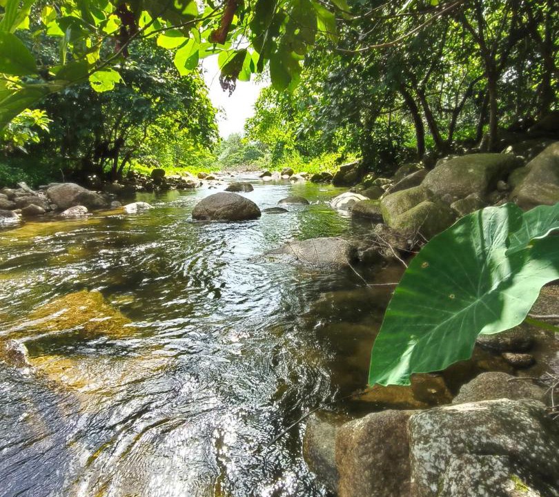 Photo of Others in Phrom Khiri