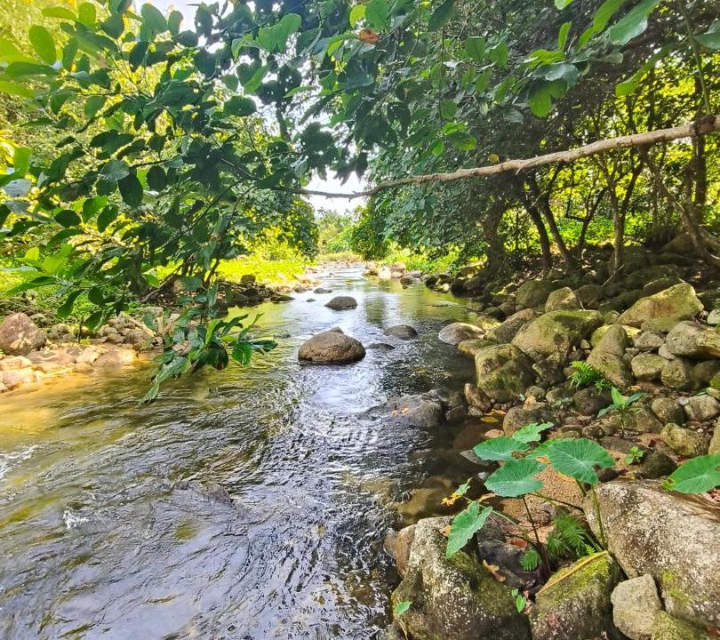 Photo of Others in Phrom Khiri