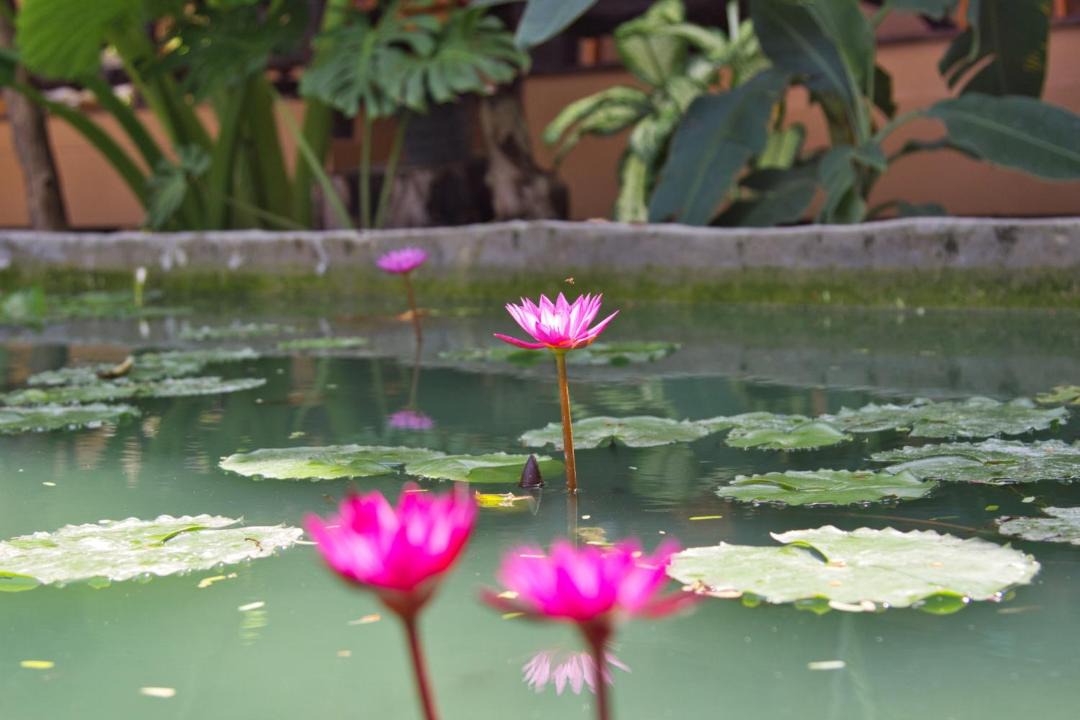 Photo of Others in Ko Lanta