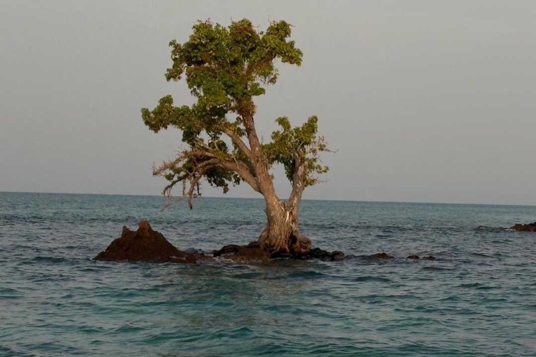 Photo of Others in Ko Mak
