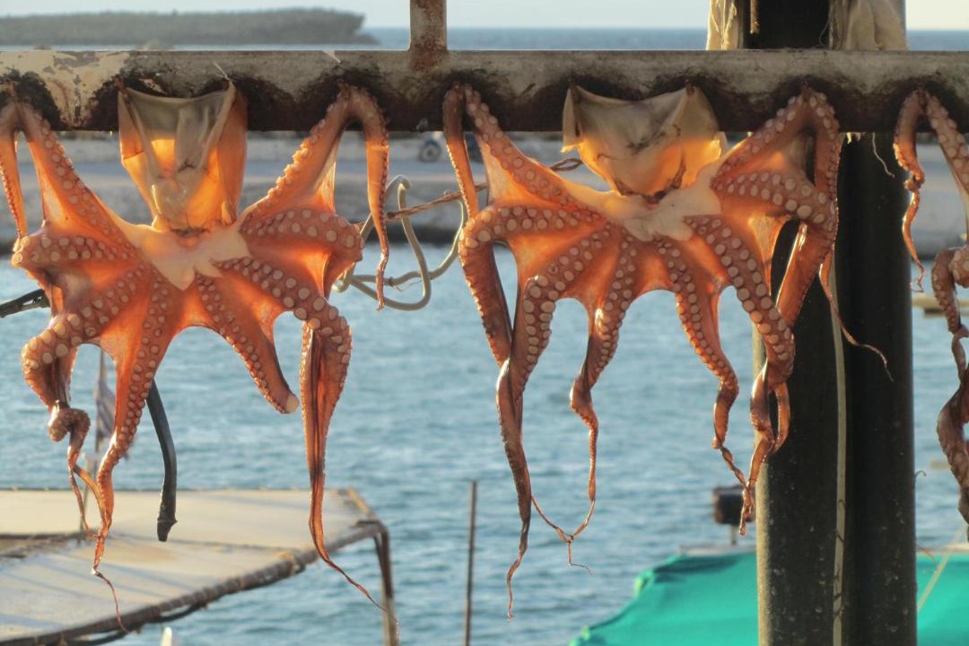 Photo of Others in Nea Chora