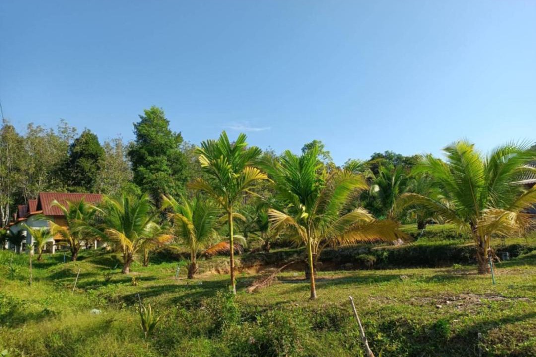 Photo of Others in Ko Lanta