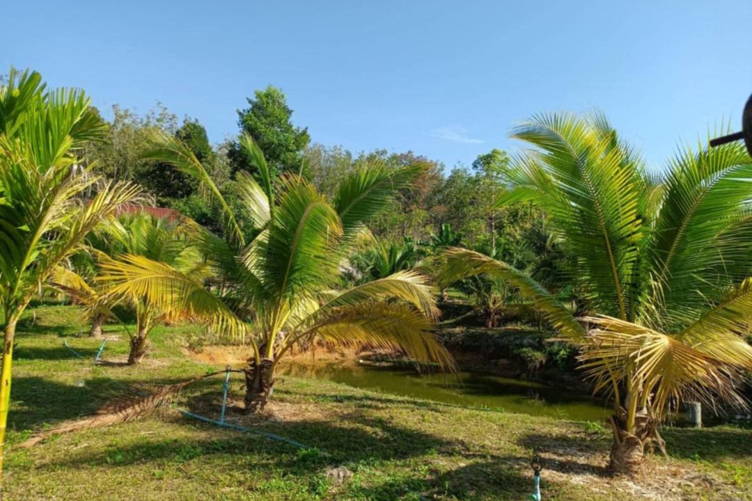 Photo of Others in Ko Lanta
