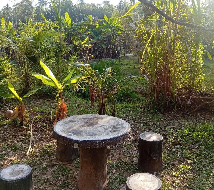Photo of Others in Ko Kood