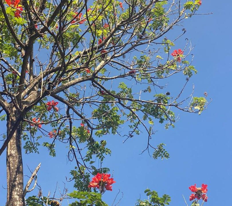 Photo of Outdoor in Kampot
