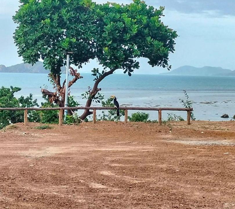 Photo of Others in Ko Phaluai
